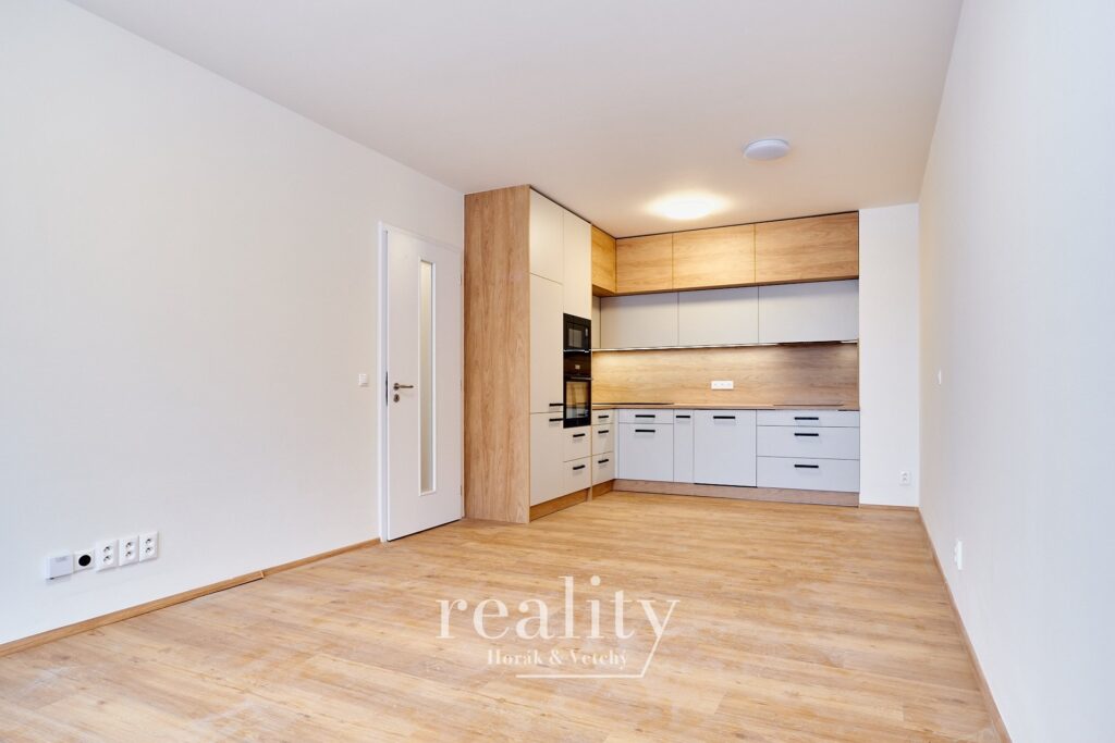 2kkVrchlickeho_pronajem-18_46492.jpg
