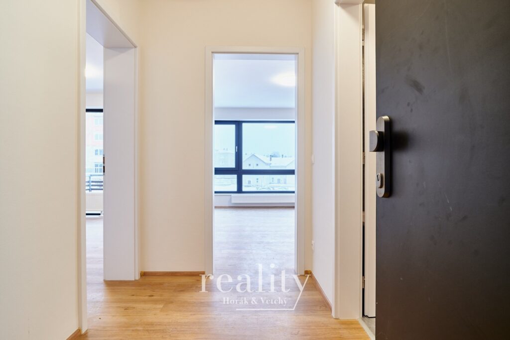 2kkVrchlickeho_pronajem-3_46492.jpg
