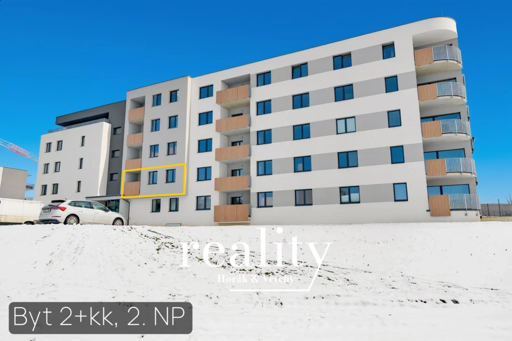 49015-3.webp