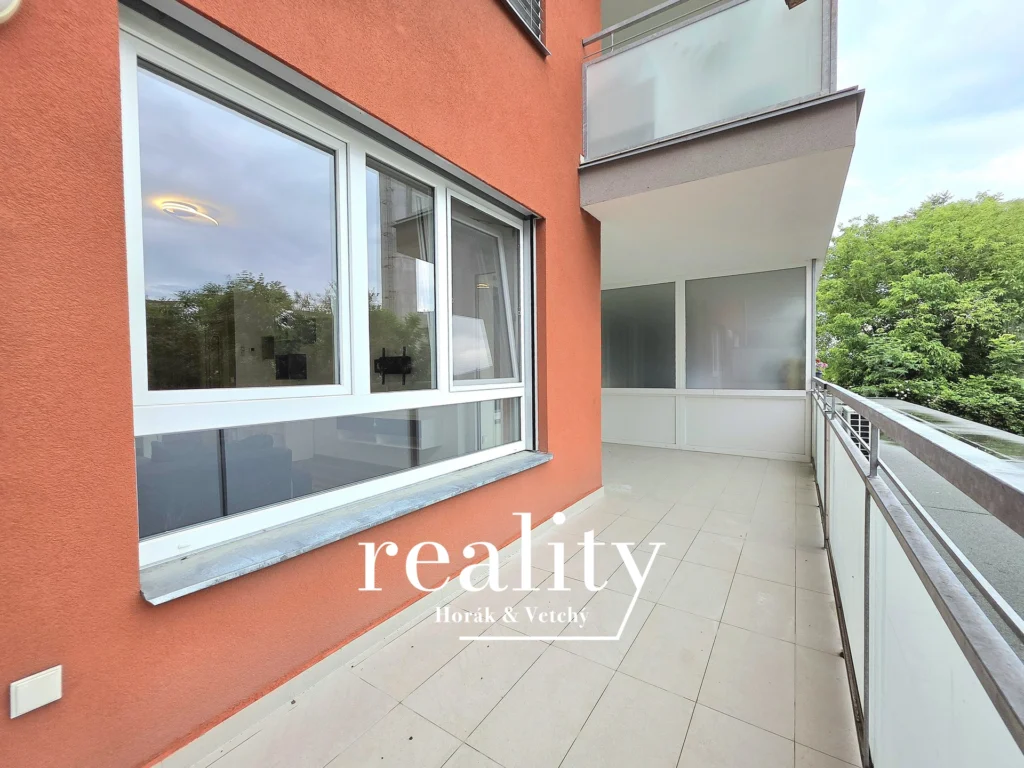 53563-15.webp